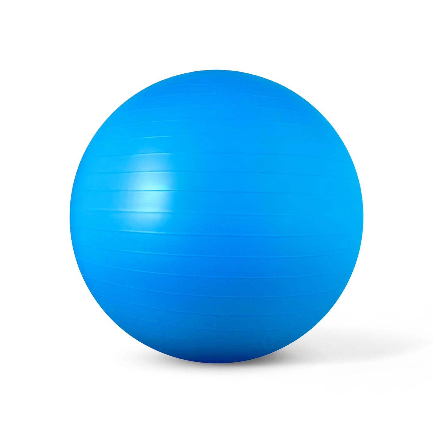 10 pack 65 cm Anti-burst Exercise Balls