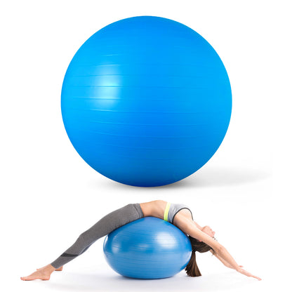 10 pack 65 cm Anti-burst Exercise Balls